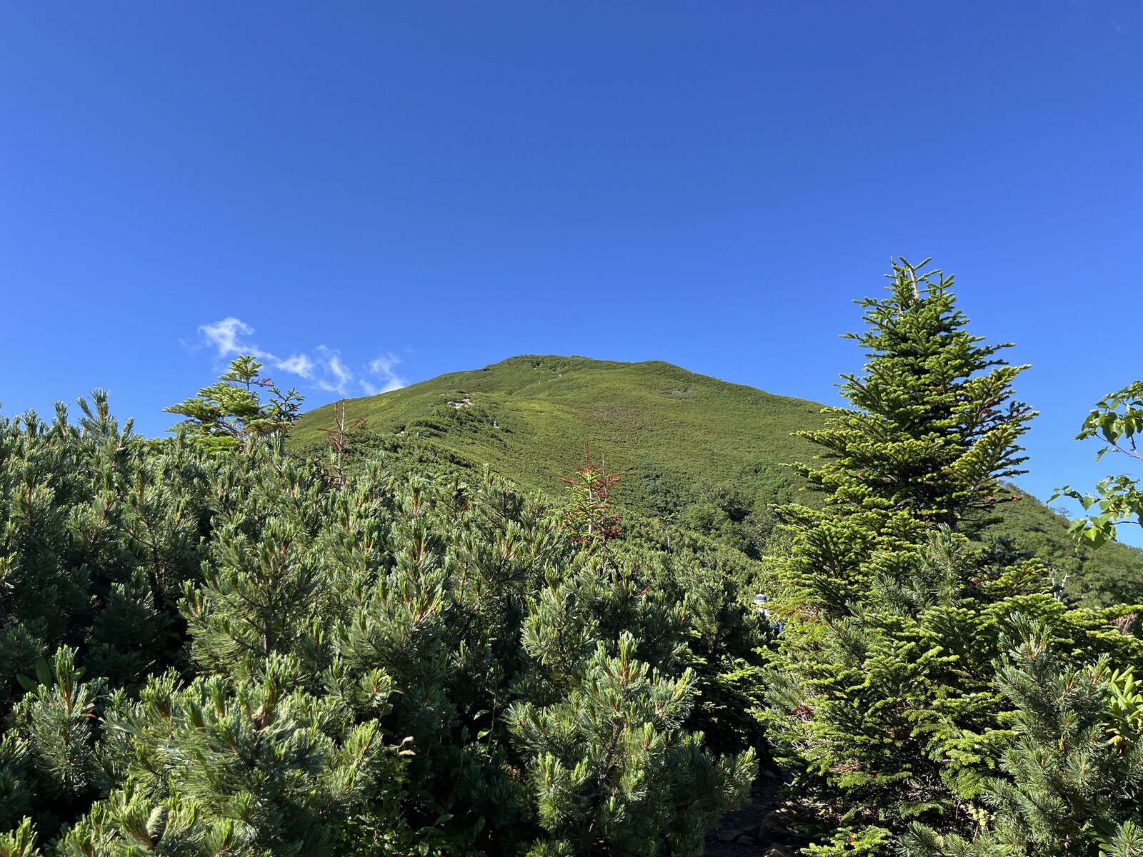 晴天の小仙丈ヶ岳付近から見た登山道と山並み