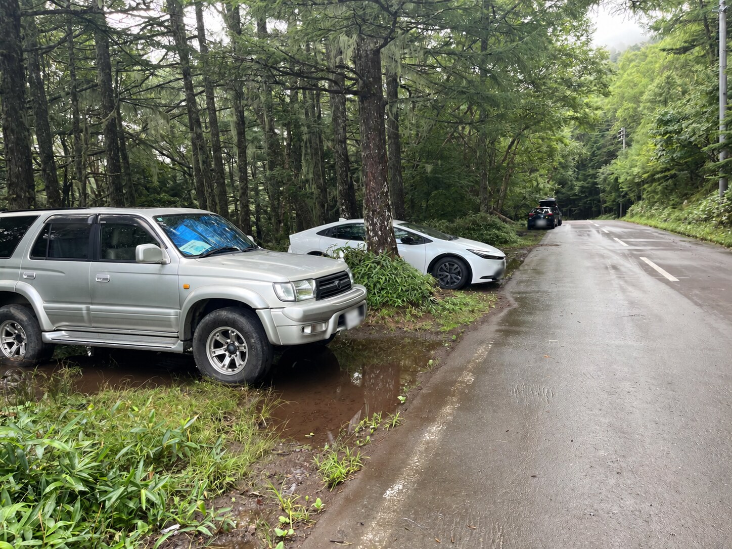 蓼科山七合目駐車場が満車となり道路脇にも車があった状況