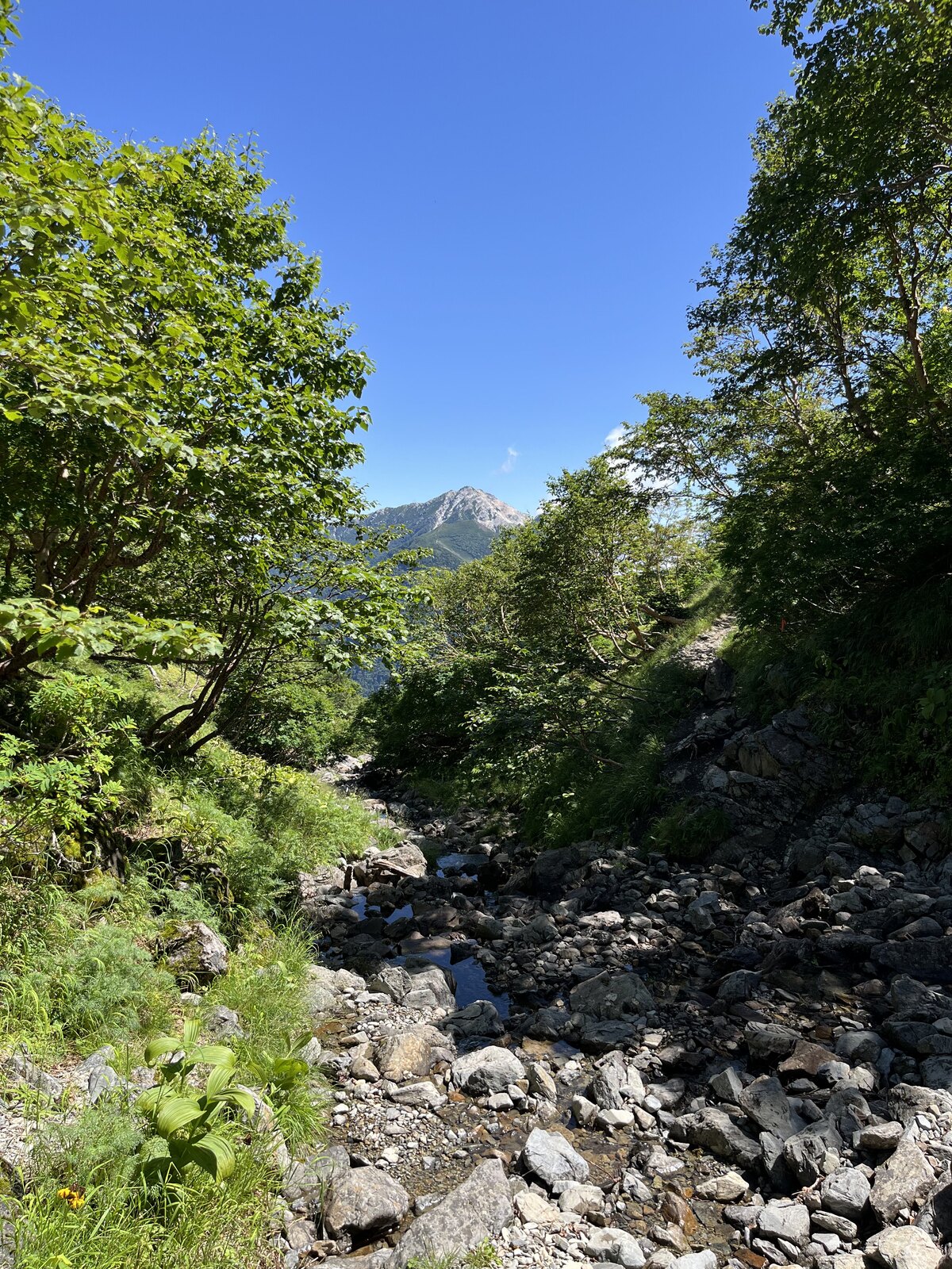 仙丈ヶ岳の下山中に見えた甲斐駒ヶ岳