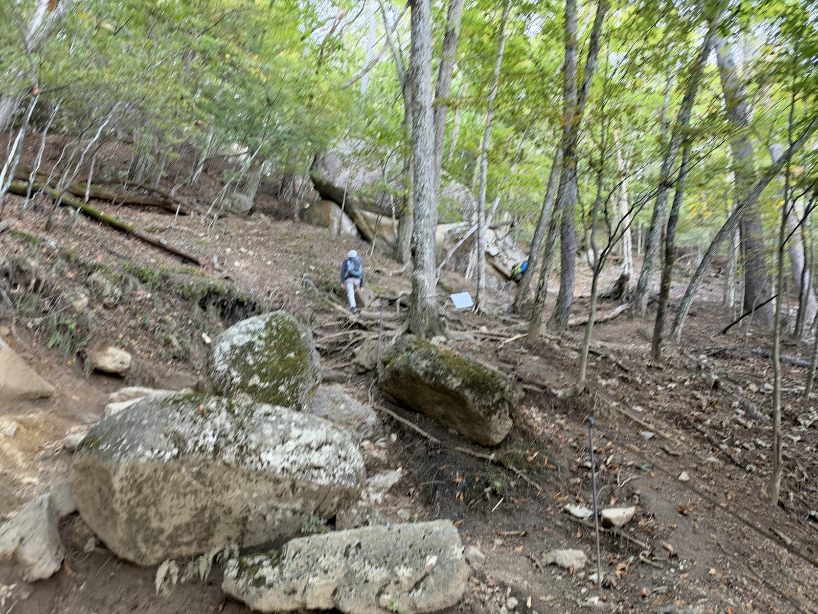 富士見平小屋へ向かう登山道