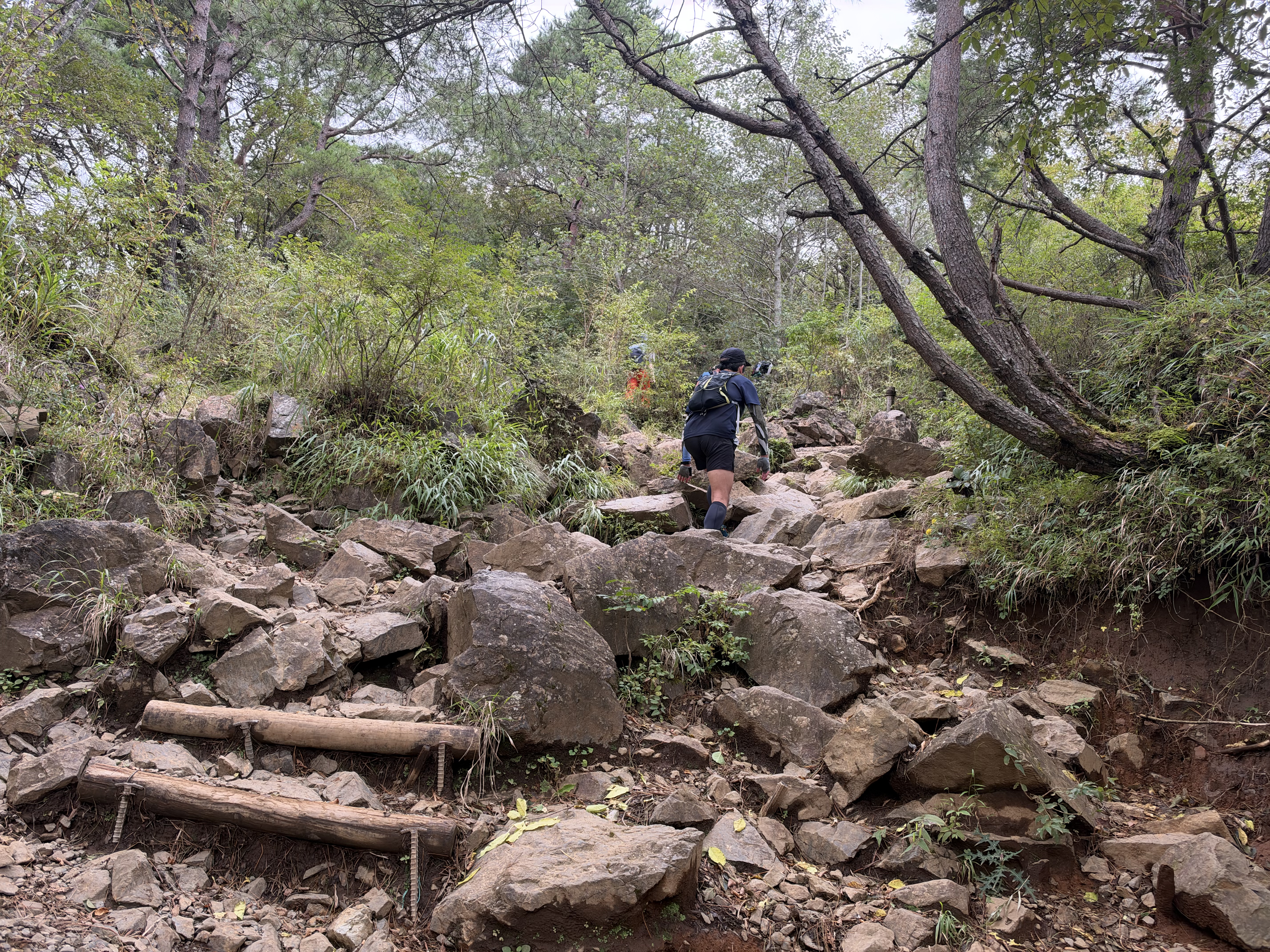 石のある登山道。9:49撮影。