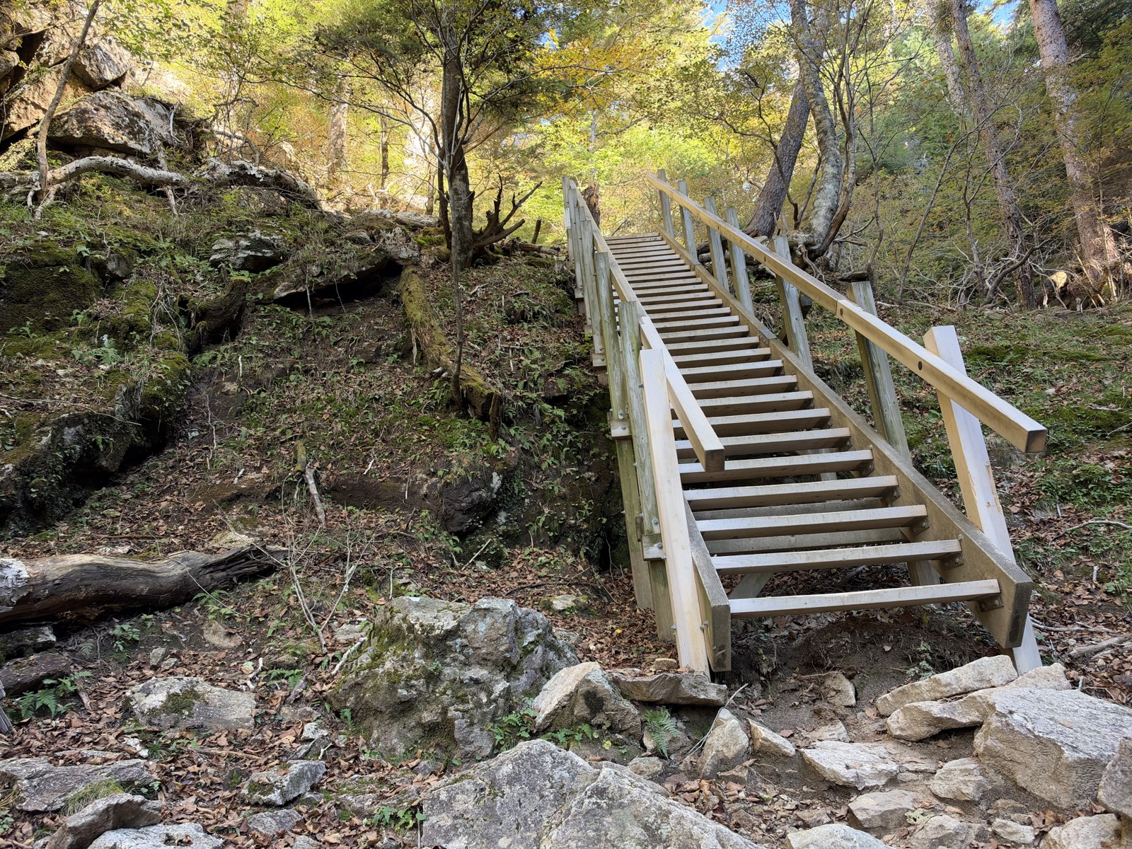 登山道の階段
